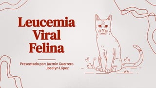 Leucemia
Viral
Felina
Presentado por: Jazmin Guerrero
Jocelyn López
 