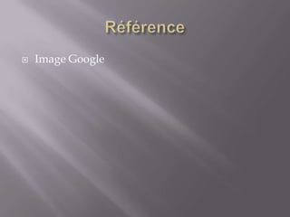 RéférenceImage Google
