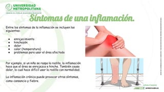 Síntomas de una inﬂamación.
Entre los síntomas de la inflamación se incluyen los
siguientes:
● enrojecimiento
● hinchazón
● dolor
● calor (temperatura)
● problemas para usar el área afectada
Por ejemplo, si un niño se raspa la rodilla, la inflamación
hace que el área se enrojezca e hinche. También causa
dolor, lo cual hace difícil usar la rodilla con normalidad.
La inflamación crónica puede provocar otros síntomas,
como cansancio y fiebre.
 