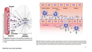 Gabriela lucia diaz bardales
 