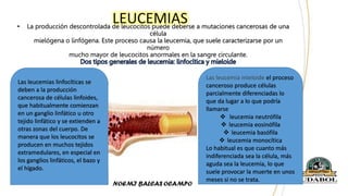 • La producción descontrolada de leucocitos puede deberse a mutaciones cancerosas de una
célula
mielógena o linfógena. Este proceso causa la leucemia, que suele caracterizarse por un
número
mucho mayor de leucocitos anormales en la sangre circulante.
LEUCEMIAS
Las leucemias linfocíticas se
deben a la producción
cancerosa de células linfoides,
que habitualmente comienzan
en un ganglio linfático u otro
tejido linfático y se extienden a
otras zonas del cuerpo. De
manera que los leucocitos se
producen en muchos tejidos
extramedulares, en especial en
los ganglios linfáticos, el bazo y
el hígado.
Las leucemia mieloide el proceso
canceroso produce células
parcialmente diferenciadas lo
que da lugar a lo que podría
llamarse
 leucemia neutrófila
 leucemia eosinófila
 leucemia basófila
 leucemia monocítica
Lo habitual es que cuanto más
indiferenciada sea la célula, más
aguda sea la leucemia, lo que
suele provocar la muerte en unos
meses si no se trata.
 