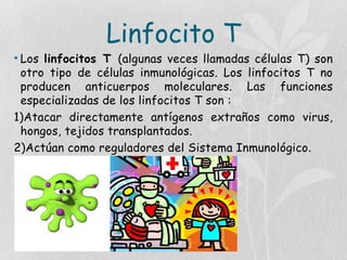 Linfocito T
• Los linfocitos T (algunas veces llamadas células T) son
otro tipo de células inmunológicas. Los linfocitos T no
producen anticuerpos moleculares. Las funciones
especializadas de los linfocitos T son :
1)Atacar directamente antígenos extraños como virus,
hongos, tejidos transplantados.
2)Actúan como reguladores del Sistema Inmunológico.
 