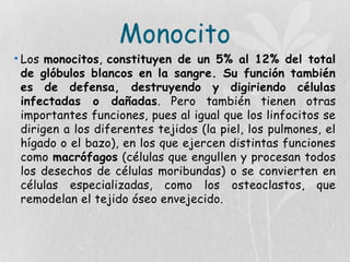 Monocito
• Los monocitos, constituyen de un 5% al 12% del total
de glóbulos blancos en la sangre. Su función también
es de defensa, destruyendo y digiriendo células
infectadas o dañadas. Pero también tienen otras
importantes funciones, pues al igual que los linfocitos se
dirigen a los diferentes tejidos (la piel, los pulmones, el
hígado o el bazo), en los que ejercen distintas funciones
como macrófagos (células que engullen y procesan todos
los desechos de células moribundas) o se convierten en
células especializadas, como los osteoclastos, que
remodelan el tejido óseo envejecido.
 