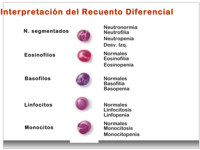Leucocitos Clase De Diagnostico Vet PPT
