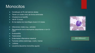 Monocitos
 Constituyen el 3% del total de células
 Tienen un núcleo único de forma arriñonada
 Citoplasma es basófilo
 VM 8ª 72 horas
 En los tejidos los macrófagos duran 2-3 meses
 Infecciones virales (e.g., varicela)
 Recuperación de la neutropenia (espontaneo o con G-
CSF)
 Endocarditis
 Tuberculosis
 Enfermedad inflamatoria intestinal
 Tumores solidos (estomago, ovario, mama)
 Linfoma
 Leucemia (leucemia monocítica aguda)
200-900mm3
Williams Hematology, 9e
Kenneth Kaushansky, Marshall A. Lichtman, Josef T. Prchal, Marcel M. Levi, Oliver W. Press,
Michael Caligiuri
 
