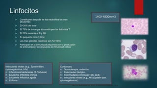 Linfocitos
 Constituyen después de los neutrófilos los mas
abudantes
 20-30% del total
 El 75% de la sangre lo constituyen los linfocitos T
 El 25% restante el B y NK
 Es pequeño mide 7-8mc
 Los mas grandes reactivos son 12-16mc
 Participan en la inmunidad adquirida con la producción
de anticuerpos y en respuesta la inmunidad celular
Corticoides
n Quimioterapia, radiación
n Enfermedad Hodgkin
n Enfermedades crónicas (TBC, LES)
n Infecciones virales (e.g., HIV,Epstein-barr,
cytomegalovirus )
Infecciones virales (e.g., Epstein-Barr,
cytomegalovirus, HIV)
n Infecciones bacterianas (B.Pertussis)
n Leucemia linfocitica crónica
n Leucemia linfocitica aguda
n Linfoma
1400-4800mm3
Rev Fac Med UNAM Vol. 52 No. 6 Noviembre-Diciembre, 2009
 