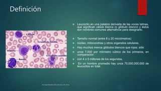 Definición
 Leucocito en una palabra derivada de las voces latinas,
que significan célula blanca (o glóbulo blanco) y éstos
son nombres comunes alternativos para designarlo.
 Tamaño normal (entre 8 y 20 micrómetros)
 núcleo, mitocondrias y otros organelos celulares.
 Hay muchos menos glóbulos blancos que rojos; sólo
 unos 7,000 por milímetro cúbico de los primeros, en
comparación
 con 4 o 5 millones de los segundos.
 En un hombre promedio hay unos 75,000,000,000 de
leucocitos en total.
Rev Sanid Milit Mex 2012; 66(1) Ene.-Feb: 38-46
 