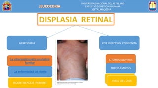 UNIVERSIDAD NACIONALDEL ALTIPLANO
FACULTAD DE MEDICINA HUMANA
OFTALMOLOGIA
HEREDITARIA POR INFECCION CONGENITA
CITOMEGALOVIRUS
TOXOPLASMOSIS
VIRUS DEL ZIKA
La vitreorretinopatía exudativa
familiar
La enfermedad de Norrie
INCONTINENCEIA PIGMENTI
VIRUS DEL ZIKA
 