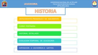 UNIVERSIDAD NACIONALDEL ALTIPLANO
FACULTAD DE MEDICINA HUMANA
OFTALMOLOGIA
ANTECEDENTES PRENATALES Y DE NACIMIENTO
CURSO POSTNATAL
HISTORIAL DETALLADO
EVOLUCION TEMPORAL DE LEUCOCORIA
EXPOSICION A CACHORROS O GATITOS
 