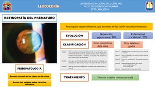 UNIVERSIDAD NACIONALDEL ALTIPLANO
FACULTAD DE MEDICINA HUMANA
OFTALMOLOGIA
RETINOPATÍA DEL PREMATURO
Retinopatía vasoproliferativa, que acontece en los recién nacidos prematuros
FISIOPATOLOGÍA
EVOLUCIÓN
Resolución
espontanea: 80%
Enfermedad
cicatricial: 20%
CLASIFICACIÓN
TRATAMIENTO Destruir la retina no vascularizada
Zonas concéntricas
de la retina
Cinco estadios o
grados
Génesis normal de los vasos de la retina
Acción del oxígeno sobre la retina
inmadura
 