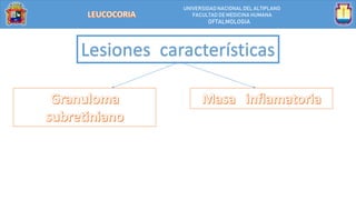 UNIVERSIDAD NACIONALDEL ALTIPLANO
FACULTAD DE MEDICINA HUMANA
OFTALMOLOGIA
Lesiones características
 