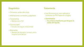 Diagnóstico
• Síntomas antes descritos
• Alteraciones corneales y papilares
• Tonometria
• Medida de la PIO
• Gonioscopia
• Estudio del ángulo iridocorneal
• Biometría
• Medida del diámetro corneal y de la
longitud axial del ojo.
Tratamiento
• Los fármacos se usan sólo para
controlar la PIO hasta la cirugía7
• Goniotomia
• Se corta la membrana que bloquea la
salida del líquido.
 