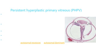 Pphpv Eye Leucocorias | PPT