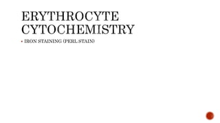  IRON STAINING (PERL STAIN)
 