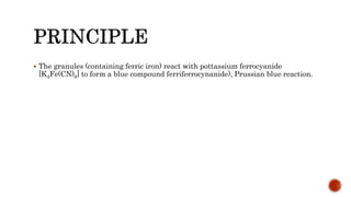  The granules (containing ferric iron) react with pottassium ferrocyanide
[K4Fe(CN)6] to form a blue compound ferriferrocynanide), Prussian blue reaction.
 