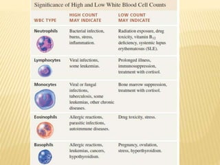 Leucocytes | PPTX