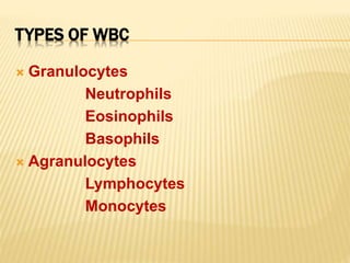 Leucocytes | PPTX