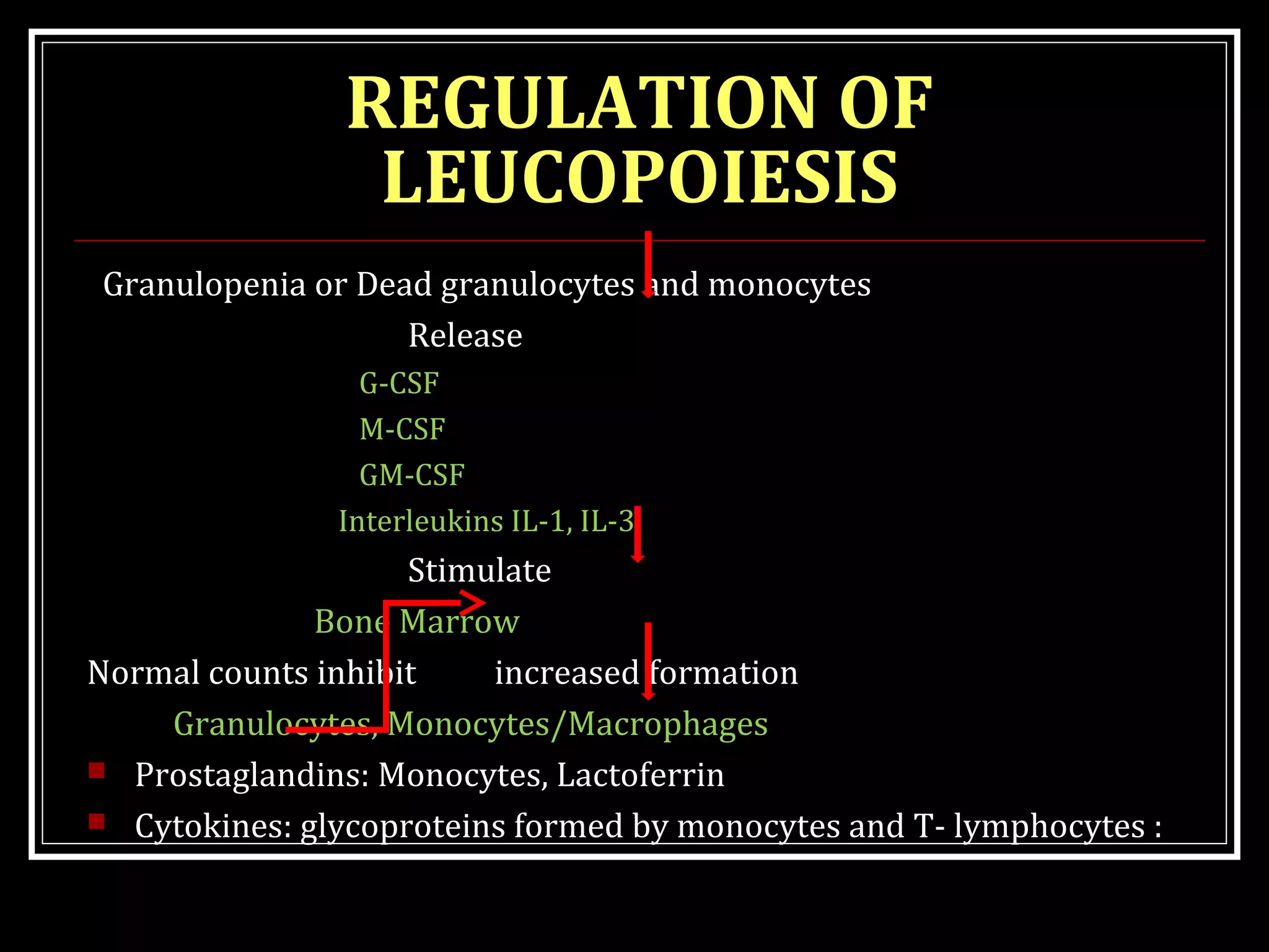 LEUCOCYTES | PPT