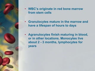 • WBC’s originate in red bone marrow
from stem cells
• Granulocytes mature in the marrow and
have a lifespan of hours to days
• Agranulocytes finish maturing in blood,
or in other locations. Monocytes live
about 2 - 3 months, lymphocytes for
years
 