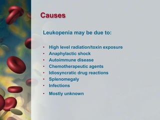 Leukopenia may be due to:
• High level radiation/toxin exposure
• Anaphylactic shock
• Autoimmune disease
• Chemotherapeutic agents
• Idiosyncratic drug reactions
• Splenomegaly
• Infections
• Mostly unknown
Causes
 