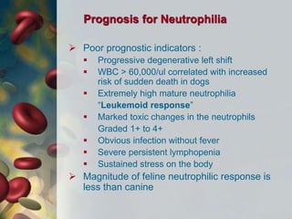 Prognosis for Neutrophilia
 Poor prognostic indicators :
 Progressive degenerative left shift
 WBC > 60,000/ul correlated with increased
risk of sudden death in dogs
 Extremely high mature neutrophilia
“Leukemoid response”
 Marked toxic changes in the neutrophils
Graded 1+ to 4+
 Obvious infection without fever
 Severe persistent lymphopenia
 Sustained stress on the body
 Magnitude of feline neutrophilic response is
less than canine
 