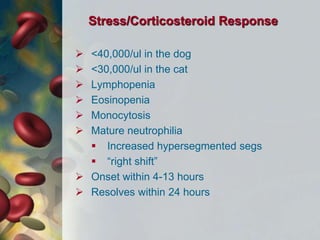 Stress/Corticosteroid Response
 <40,000/ul in the dog
 <30,000/ul in the cat
 Lymphopenia
 Eosinopenia
 Monocytosis
 Mature neutrophilia
 Increased hypersegmented segs
 “right shift”
 Onset within 4-13 hours
 Resolves within 24 hours
 