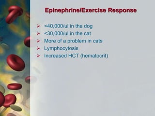 Epinephrine/Exercise Response
 <40,000/ul in the dog
 <30,000/ul in the cat
 More of a problem in cats
 Lymphocytosis
 Increased HCT (hematocrit)
 