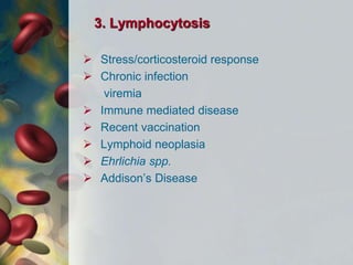 3. Lymphocytosis
 Stress/corticosteroid response
 Chronic infection
viremia
 Immune mediated disease
 Recent vaccination
 Lymphoid neoplasia
 Ehrlichia spp.
 Addison’s Disease
 