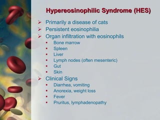 Hypereosinophilic Syndrome (HES)
 Primarily a disease of cats
 Persistent eosinophilia
 Organ infiltration with eosinophils
 Bone marrow
 Spleen
 Liver
 Lymph nodes (often mesenteric)
 Gut
 Skin
 Clinical Signs
 Diarrhea, vomiting
 Anorexia, weight loss
 Fever
 Pruritus, lymphadenopathy
 