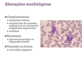 Alterações morfológicas


 Citoplasmáticas:
  alterações tóxicas
  corpúsculos de inclusão,
   organismos ou elementos
   sangüíneos fagocitados
  artefatos

 Nucleares:
    hipersegmentação ou
     hiposegmentação

 Tamanho     ou forma:
    neutrófilos gigantes
 