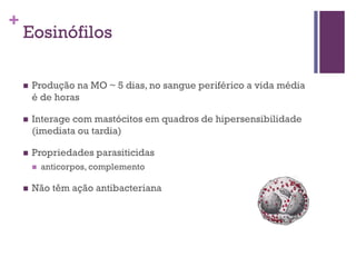 +
    Eosinófilos

       Produção na MO ~ 5 dias, no sangue periférico a vida média
        é de horas

       Interage com mastócitos em quadros de hipersensibilidade
        (imediata ou tardia)

       Propriedades parasiticidas
           anticorpos, complemento

       Não têm ação antibacteriana
 