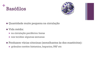 +
    Basófilos

       Quantidade muito pequena na circulação

       Vida média:
           na circulação periférica: horas
           nos tecidos: algumas semanas

       Produzem várias citocinas (semelhantes às dos mastócitos):
           grânulos contém histamina, heparina, PAF etc
 