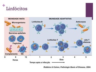 +
    Linfócitos
    IMUNIDADE INATA                                 IMUNIDADE ADAPTATIVA

        Microrganismo          Linfócitos B                                        Anticorpos




     Barreiras epiteliais


                                                  Linfócitos T                             céls T
                                                                                          efetoras
         Fagócitos




Complemento        NK
0           6           12             1             2              3          4            5
         Horas                                                   Dias
                             Tempo após a infecção

                                              Robbins & Cotran, Pathologic Basis of Disease, 2004.
 