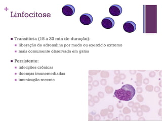 +
    Linfocitose

       Transitória (15 a 30 min de duração):
           liberação de adrenalina por medo ou exercício extremo
           mais comumente observada em gatos

       Persistente:
           infecções crônicas
           doenças imunemediadas
           imunização recente
 