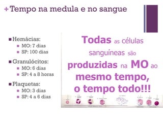 + Tempo na medula e no sangue


  Hemácias:
       MO: 7 dias
                            Todas as células
       SP: 100 dias          sanguíneas    são
  Granulócitos:
       MO: 6 dias        produzidas   na    MO ao
       SP: 4 a 8 horas
                           mesmo tempo,
  Plaquetas:
       MO: 3 dias         o tempo todo!!!
       SP: 4 a 6 dias
 