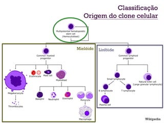 Classificação
   Origem do clone celular



Mielóide   Linfóide




                      Wikipedia
 