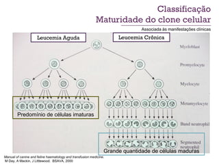 Classificação
                                                           Maturidade do clone celular
                                                                              Associada às manifestações clínicas

                     Leucemia Aguda                                  Leucemia Crônica




        Predomínio de células imaturas




                                                                Grande quantidade de células maduras
Manual of canine and feline haematology and transfusion medicine.
M Day, A Mackin, J Littlewood. BSAVA, 2000
 