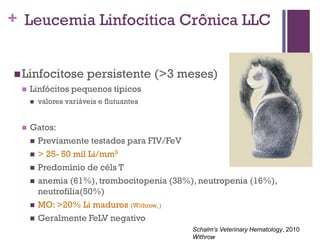 + Leucemia Linfocítica Crônica LLC


 Linfocitose          persistente (>3 meses)
    Linfócitos pequenos típicos
        valores variáveis e flutuantes


    Gatos:
      Previamente testados para FIV/FeV
      > 25- 50 mil Li/mm3

      Predomínio de céls T

      anemia (61%), trombocitopenia (38%), neutropenia (16%),
       neutrofilia(50%)
      MO: >20% Li maduros (Withrow, )

      Geralmente FeLV negativo
                                          Schalm’s Veterinary Hematology, 2010
                                          Withrow
 