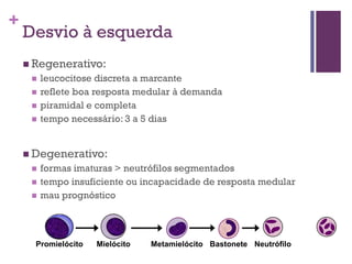 +
    Desvio à esquerda
     Regenerativo:
        leucocitose discreta a marcante
        reflete boa resposta medular à demanda
        piramidal e completa
        tempo necessário: 3 a 5 dias


     Degenerativo:
        formas imaturas > neutrófilos segmentados
        tempo insuficiente ou incapacidade de resposta medular
        mau prognóstico



      Promielócito   Mielócito   Metamielócito Bastonete Neutrófilo
 