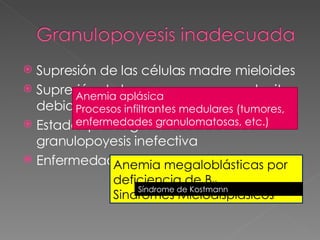 Supresión de las células madre mieloides Supresión de los precursores granulocitos debida a la exposición a fármacos Estados patológicos asociados con granulopoyesis inefectiva Enfermedades hereditarias raras Anemia aplásica Procesos infiltrantes medulares (tumores, enfermedades granulomatosas, etc.) Anemia megaloblásticas por deficiencia de B 12 Sindrómes Mielodisplasicos Síndrome de Kostmann 