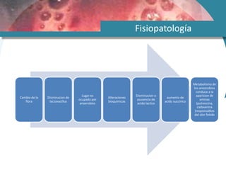 Fisiopatología
Cambio de la
flora
Disminucion de
lactovacillus
Lugar es
ocupado por
anaerobios
Alteraciones
bioquimicas
Disminucion o
asusencia de
acido lactico
aumento de
acido succinico
Metabolismo de
los aneorobios
conduce a la
aparicion de
aminas
(putrescina,
cadaverina
)responsables
del olor fetido
 