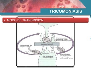 TRICOMONIASIS
 MODO DE TRANSMISIÓN.
 