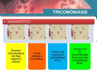 Examen
microscópico
del flujo
vaginal o
uretral.
Frotis
teñidos o
no teñidos.
Cultivo del
organismo
(sensibilidad
93%)
Tinción con
Ac
monoclonales
fluorescentes
(sensibilidad
86%).
TRICOMONIASIS
 DIAGNOSTICO.
 