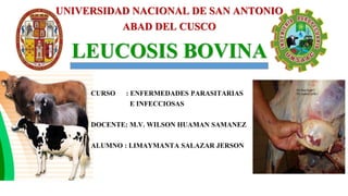 LEUCOSIS BOVINA
UNIVERSIDAD NACIONAL DE SAN ANTONIO
ABAD DEL CUSCO
CURSO : ENFERMEDADES PARASITARIAS
E INFECCIOSAS
DOCENTE: M.V. WILSON HUAMAN SAMANEZ
ALUMNO : LIMAYMANTA SALAZAR JERSON
 