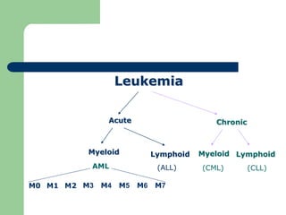 Leukemia
Acute Chronic
Lymphoid
(CLL)
Myeloid
(CML)
Lymphoid
(ALL)
Myeloid
AML
M0 M1 M2 M3 M4 M5 M6 M7
 