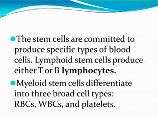 ⚫The stem cells are committed to
produce specific types of blood
cells. Lymphoid stem cells produce
eitherT or B lymphocytes.
⚫Myeloid stem cellsdifferentiate
into three broad cell types:
RBCs, WBCs, and platelets.
 