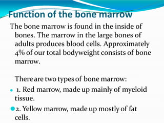 Function of the bone marrow
The bone marrow is found in the inside of
bones. The marrow in the large bones of
adults produces blood cells. Approximately
4% of our total bodyweight consists of bone
marrow.
Thereare two typesof bone marrow:
⚫ 1. Red marrow, made up mainly of myeloid
tissue.
⚫2. Yellow marrow, made up mostly of fat
cells.
 