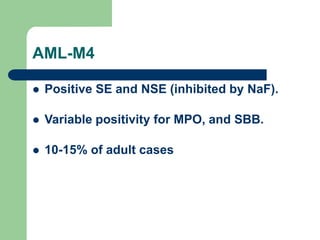 AML-M4
 Positive SE and NSE (inhibited by NaF).
 Variable positivity for MPO, and SBB.
 10-15% of adult cases
 
