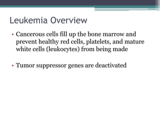 Leukemia OverviewCancerous cells fill up the bone marrow and prevent healthy red cells, platelets, and mature white cells (leukocytes) from being madeTumor suppressor genes are deactivated