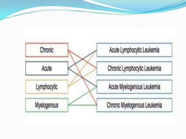 Leukemia | PPTX | Blood Disorders | Diseases and Conditions
